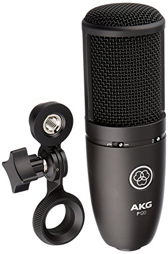 AKG Perception 120 High End Mikrofon